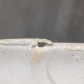 Брызговик задн. прав. HONDA CIVIC 4D 06-11 - Превью 3