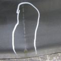 68100-STX-315ZZ | Кришка багажника ACURA MDX (YD2) 06-13 - Прев'ю 3