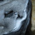 L3G6-10-2F0B | Накладка двигателя декоративная MAZDA 6 GG 02-07 - Превью 6