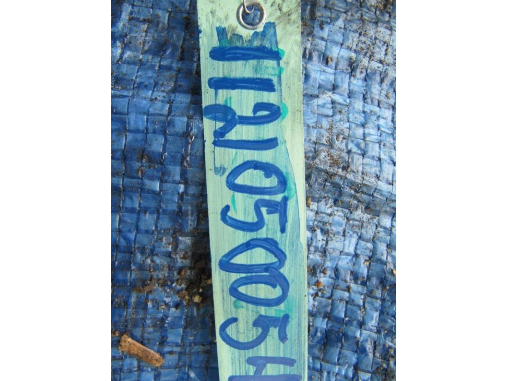 16012-R9P-315 | Трубка паливна ACURA MDX (YD3) 13-21 - Фото 3