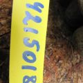 26292AE07B | Супорт гальмівний передн. лів. SUBARU OUTBACK 09-14 BR - Прев'ю 5