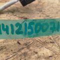 226A0-3TA0B | Лямбда зонд задн. NISSAN ALTIMA L33 12-18 - Превью 4
