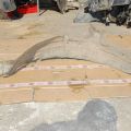 Подкрылок передн. прав. MAZDA 626 GD 87-91