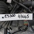 Проводка подкапотная LEXUS ES300 ES330 01-06 - Превью 2