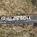 53060XA01B9P | Панель передня SUBARU TRIBECA B9 05-07 - Прев'ю 2