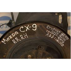 Гальмівний диск задній MAZDA CX-9 06-16