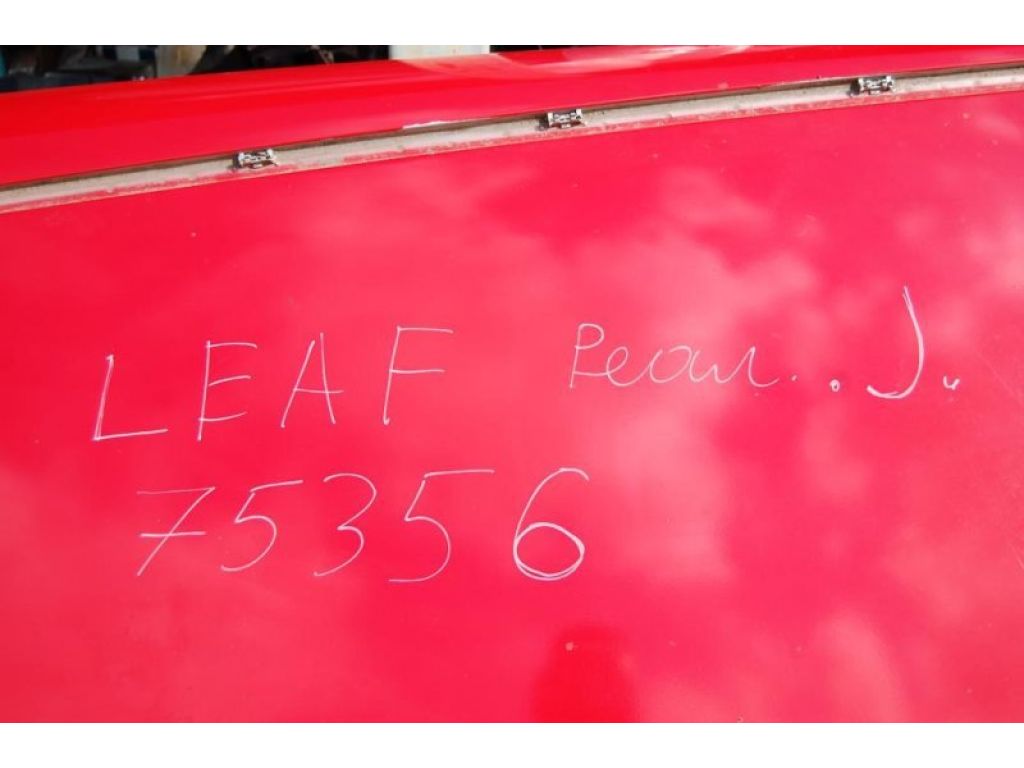 G3112-3NAMA | Дах NISSAN LEAF 10-17 - Фото 2