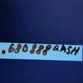 47210-JD00A | Вакуумний підсилювач гальм NISSAN QASHQAI 07-14 - Прев'ю 2