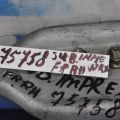 41022FA000 | Подушка двигателя прав. SUBARU IMPREZA 00-07 GD/GG - Превью 3