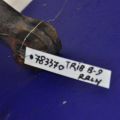 20252XA01A | Рычаг задней подвески поперечный верхний лев. SUBARU TRIBECA B9 05-07 - Превью 2