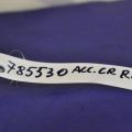 50810-TA0-A01 | Подушка двигуна задн. HONDA ACCORD CU8 08-13 - Прев'ю 2