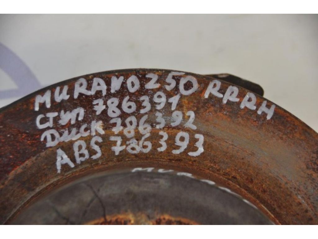 43206-CA000 | Тормозной диск задний NISSAN MURANO Z50 02-07 - Фото 2