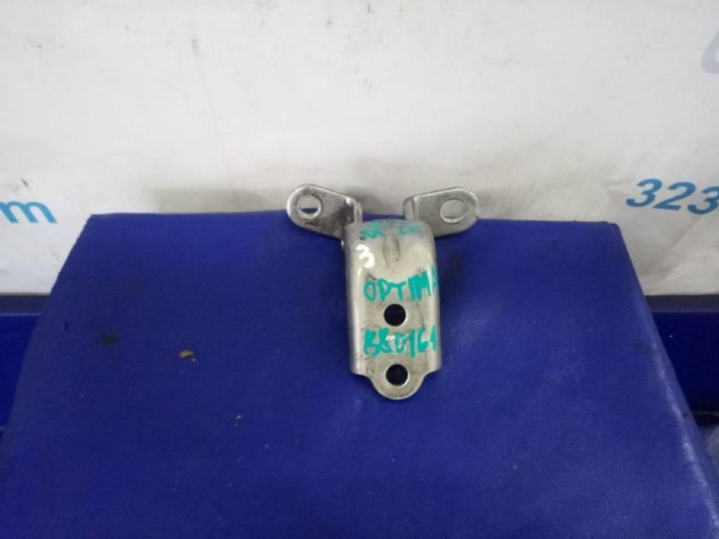 79320-3K000 | Петля двери нижняя задн. лев. KIA OPTIMA TF 11-16