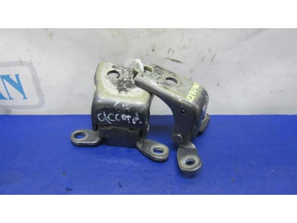 Петля двери HONDA ACCORD USA 07-12