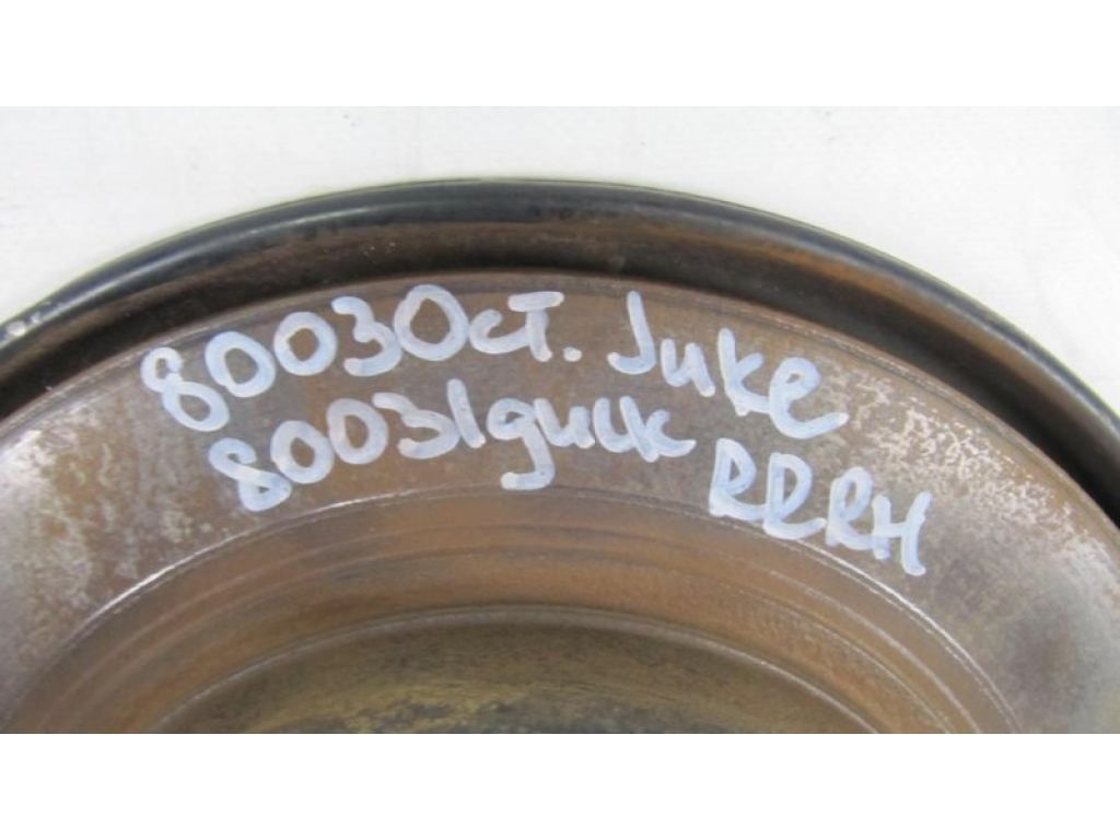 43206-9W000 | Тормозной диск задний NISSAN JUKE 10-19 - Фото 2