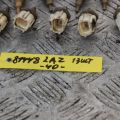 89422-33030 | Датчик температури охолоджувальної рідини TOYOTA CAMRY 40 06-11 - Прев'ю 2