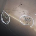 EGY1-52-31XB | Капот MAZDA CX-7 06-12 - Превью 3
