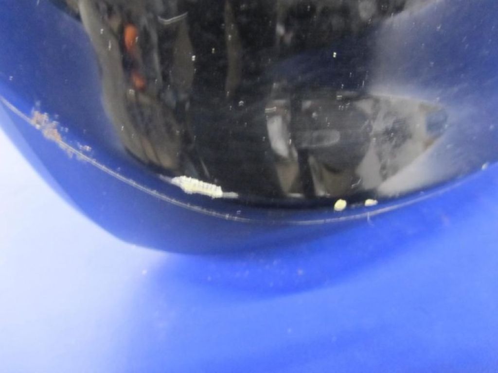 76208-TX6-A01 | Дзеркало прав. ACURA ILX 12-16 - Фото 7