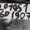 66862-9NA0A | Пластик под лобовое стекло / Жабо INFINITI QX60/JX35 12-20 - Превью 2