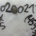 284G4-3FY0A | Блок електронний INFINITI FX/QX70 S51 08-17 - Прев'ю 2
