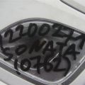 92870-3S050TX | Плафон салону HYUNDAI SONATA YF 10-14 - Прев'ю 2