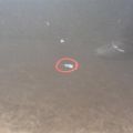 H2101-JK0MM | Дверь задн. лев. INFINITI G25/G35/G37/Q40 06-14 - Превью 8