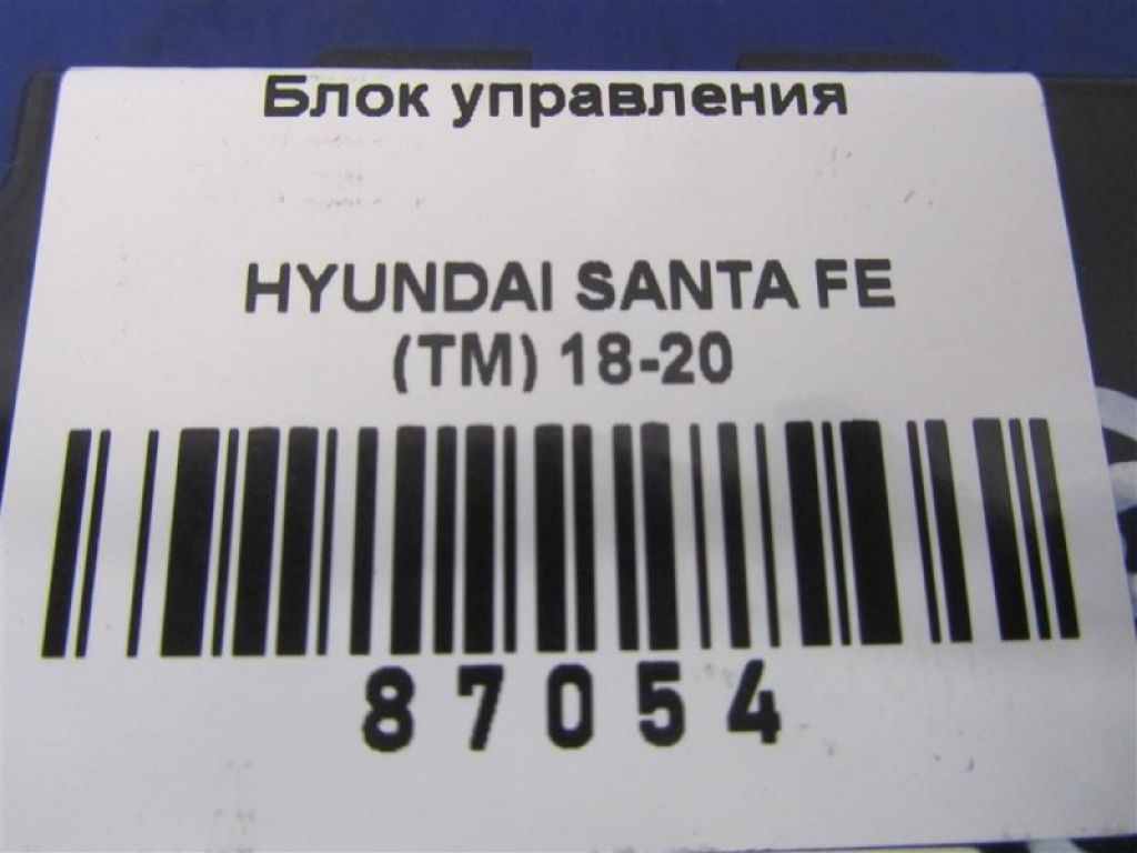 95310-S1000 | Блок електронний HYUNDAI SANTA FE (TM) 18-23 - Фото 2