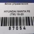 95310-S1000 | Блок електронний HYUNDAI SANTA FE (TM) 18-23 - Прев'ю 2