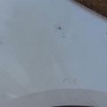 F3112-ET8MA | Крыло переднее прав. NISSAN SENTRA (B16) 06–12 - Превью 4