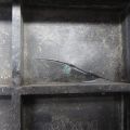 31521-TX4-A00 | Полка аккумулятора ACURA RDX 12-19 - Превью 7