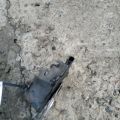 Замок капоту HONDA ACCORD USA 07-12 - Прев'ю 3