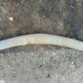 TD11-50-260D | Підсилювач заднього бампера MAZDA CX-9 06-16 - Прев'ю 4