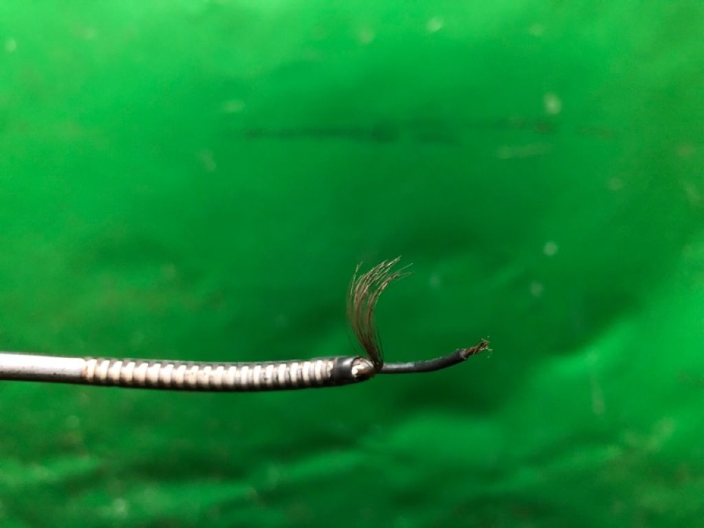 57470-TL1-G02 | Датчик ABS задн. HONDA ACCORD CU8 / TSX 08-14 - Фото 3