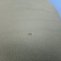 5C6 864 571 | Подлокотник VOLKSWAGEN JETTA USA 10-17 - Превью 5