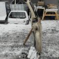 61612-08080 | Чверть кузова задня лів. TOYOTA SIENNA 11-16 - Прев'ю 6