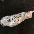32200-TX8-A00 | Проводка подкапотная ACURA ILX 12-16 - Превью 12