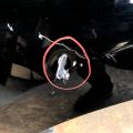 6410057830 | Чверть кузова задня прав. SUZUKI KIZASHI 09-14 - Прев'ю 3