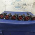 22448-JA10C | Котушка запалювання INFINITI EX35(37) 07-12