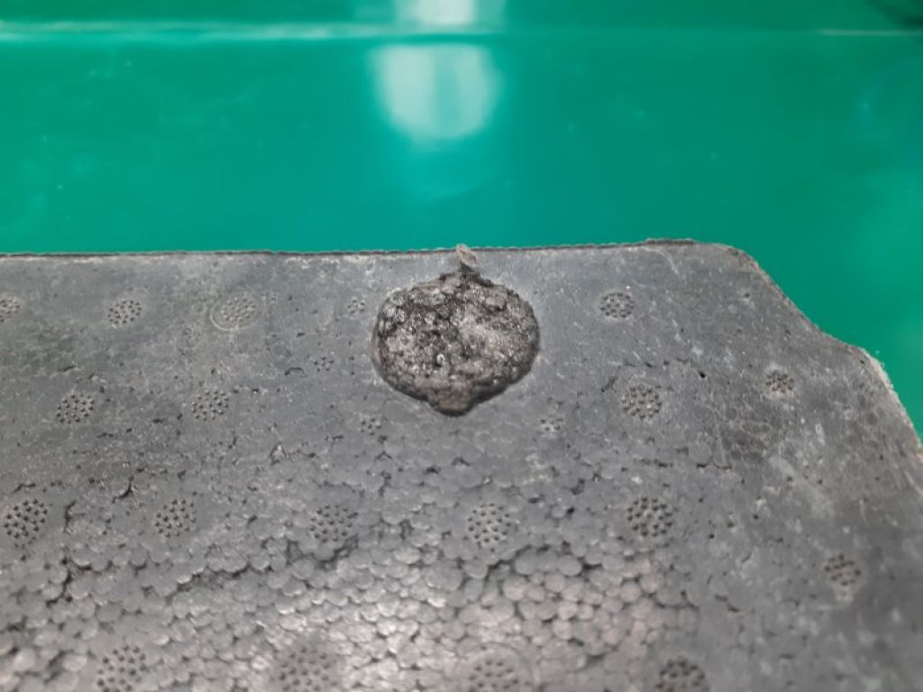 85090-3SH0A | Наповнювач бампера задній NISSAN SENTRA B17 12-21 - Фото 6