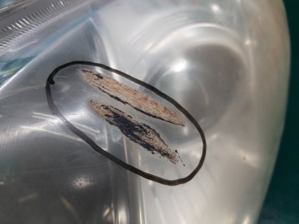 81150-06201 | Фара лів. TOYOTA CAMRY 40 06-11 - Фото 14