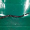 85211-06050 | Поводок стеклоочистителя передний прав. TOYOTA CAMRY 40 06-11 - Превью 2