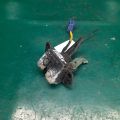 69350-52260 | Замок кришки багажника TOYOTA YARIS 05–11