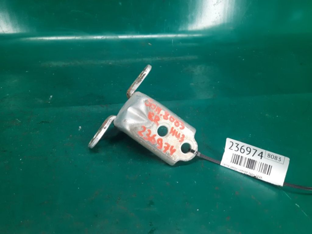 79320-3K000 | Петля двері нижня задн. прав. HYUNDAI SONATA NF 04-10