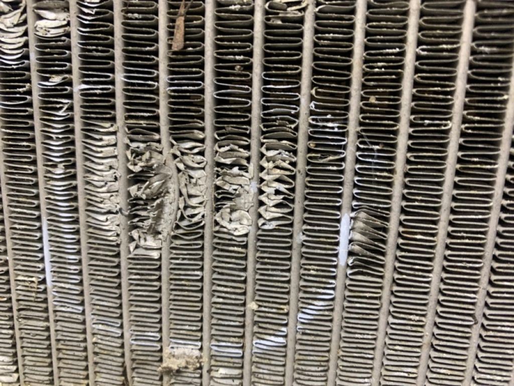 21400-JM00A | Радіатор основний NISSAN ROGUE 08-15 - Фото 11