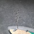BAP8-50-031CAA | Бампер передний MAZDA 3 BK 03-08 - Превью 15