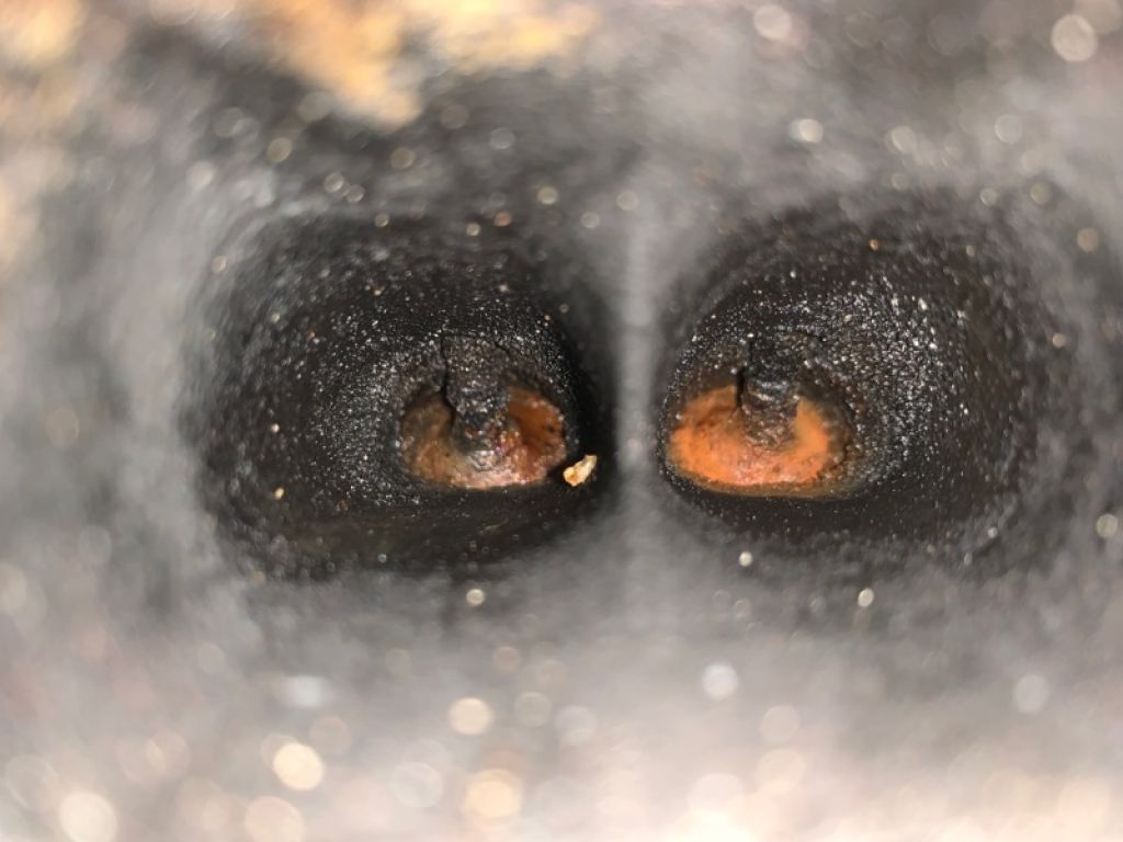 CZTA | Двигун бензин VOLKSWAGEN JETTA USA 10-17 - Фото 13