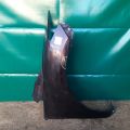 EG21-52-110F | Крило переднє прав. MAZDA CX-7 06-12