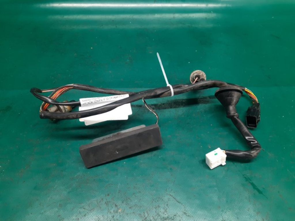 81260-3S011 | Кнопка открывания багажника наружная HYUNDAI SONATA YF 10-14