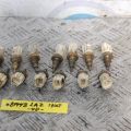 89422-33030 | Датчик температури охолоджувальної рідини TOYOTA CAMRY 40 06-11