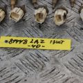 89422-33030 | Датчик температури охолоджувальної рідини TOYOTA CAMRY 40 06-11 - Прев'ю 2